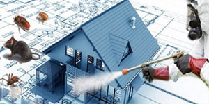 Дезинсекция